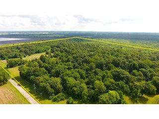 TRACT 29 - ILLINOIS LAND AUCTION - 4,810+/- ACRES OFFERED IN 85 TRACTS IN FRANKLIN, WILLIAMSON, HAMILTON & SALINE COUNTIES, ILLINOIS